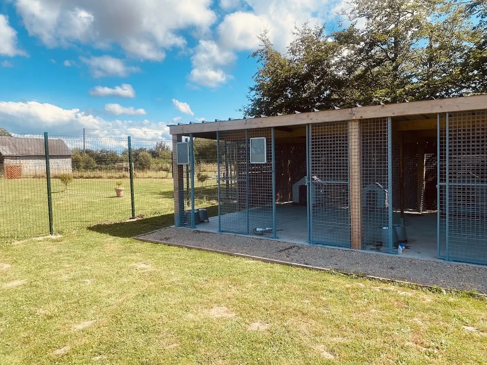 Prince Tom's Hotel for Dogs - French Southern and Antarctic Lands pet otel görseli 2
