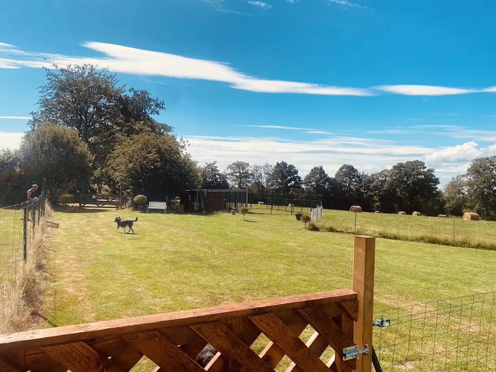 Prince Tom's Hotel for Dogs - French Southern and Antarctic Lands pet otel görseli 3
