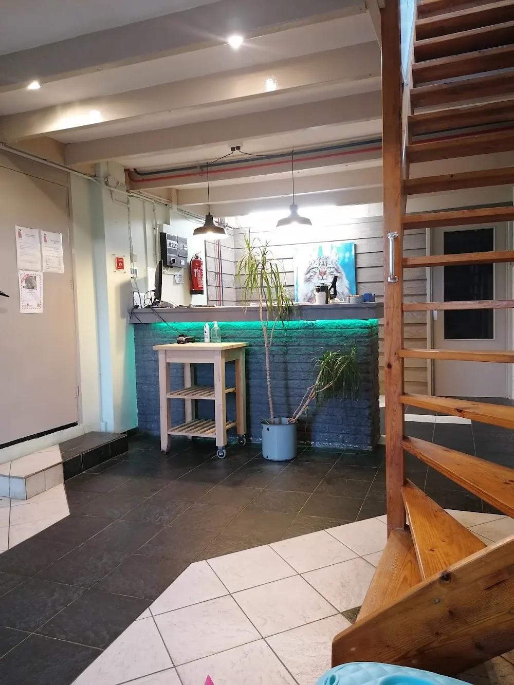 Dierenpension/ asiel De Hooge Hoeve - Friesland pet otel