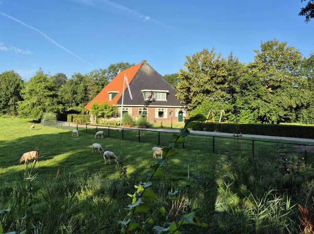 Hondenopvang Ald Skou - Friesland pet otel görseli 5