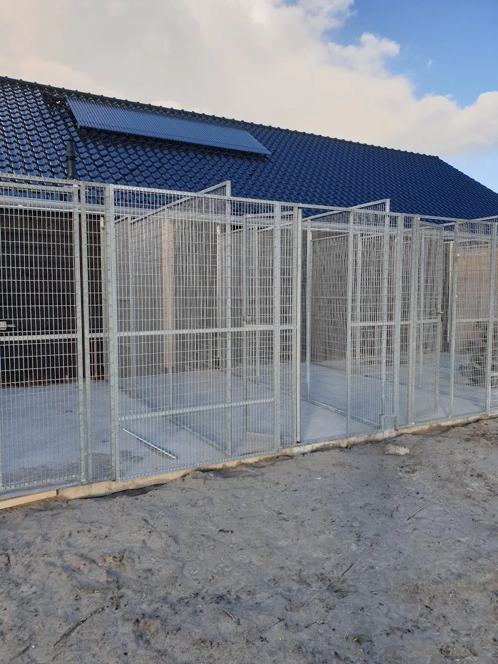 Hondenpension It Wyldpaed - Friesland pet otel