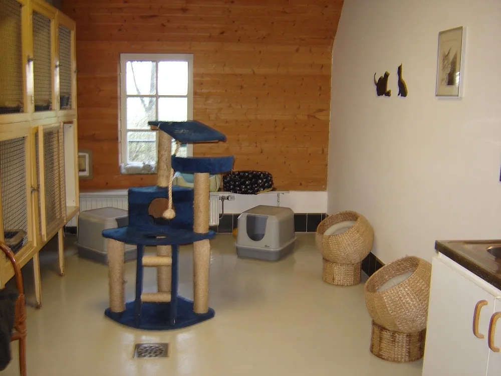 Kattenpension De Lapjeskat - Friesland pet otel