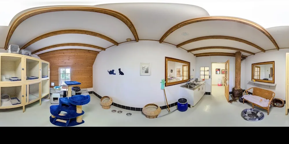 Kattenpension De Lapjeskat - Friesland pet otel görseli 3