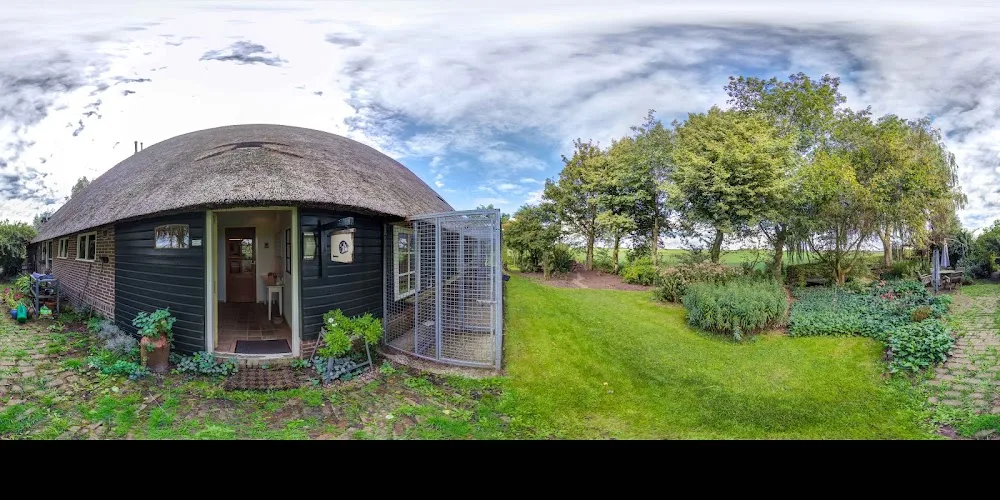Kattenpension De Lapjeskat - Friesland pet otel görseli 4