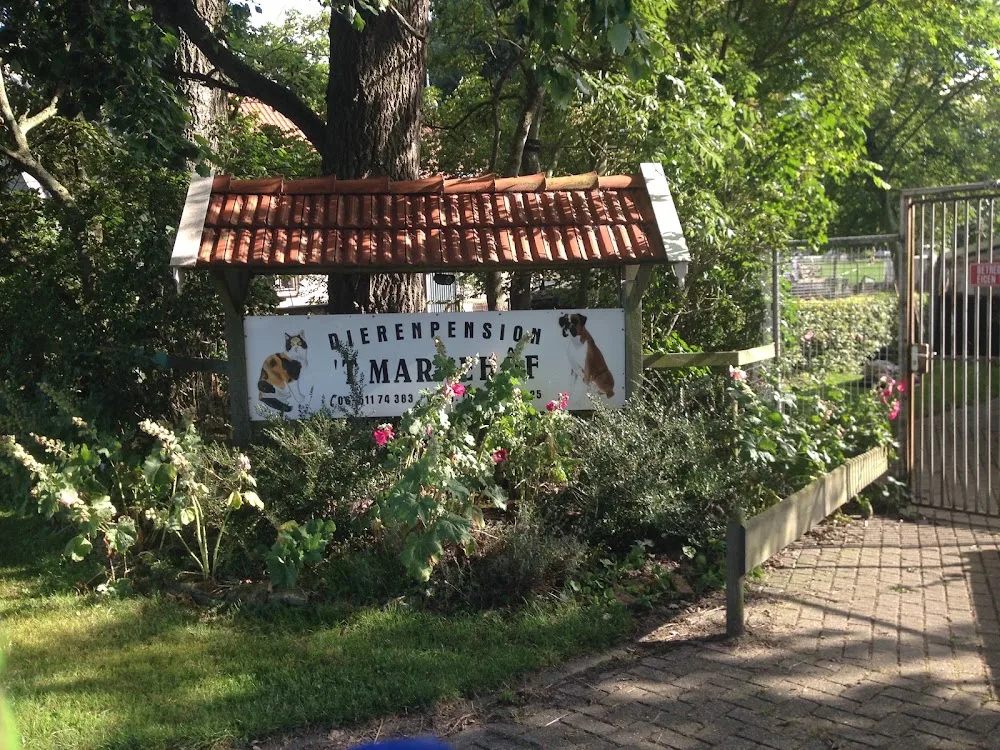 Marnehôf Dierenpension 't - Friesland pet otel