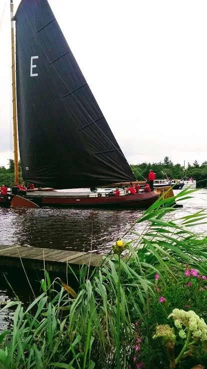 Simmerwille overnachten in de Alde Feanen - Cottage no pets - Friesland pet otel görseli 2