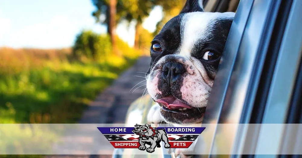 Home Boarding Shipping Pets di Marco Colombo - Friuli–Venezia Giulia pet otel