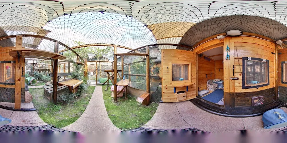 La casa del gatto - EthologiCat House - Friuli–Venezia Giulia pet otel görseli 4