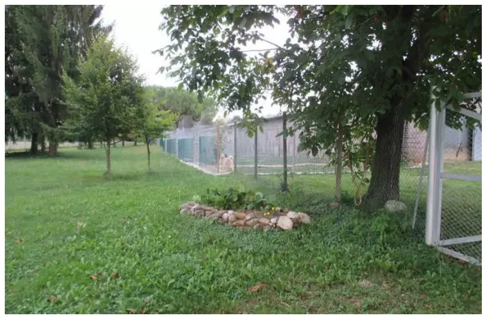 L'Olimpo | Pensione per cani - Friuli–Venezia Giulia pet otel