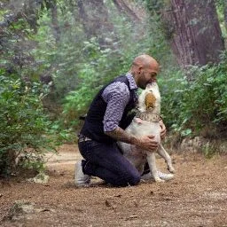 L'Olimpo | Pensione per cani - Friuli–Venezia Giulia pet otel görseli 4