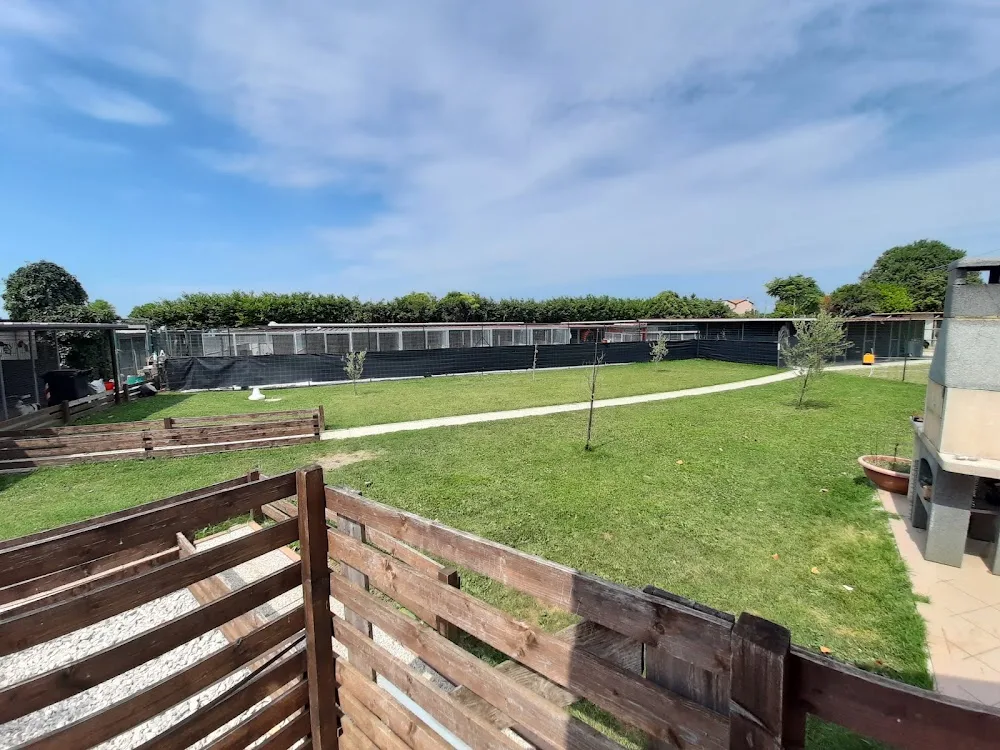 Pensione per Cani Hobby Dog - Allevamento dei Rebicesca di Merciai Gianni - Friuli–Venezia Giulia pet otel görseli 3