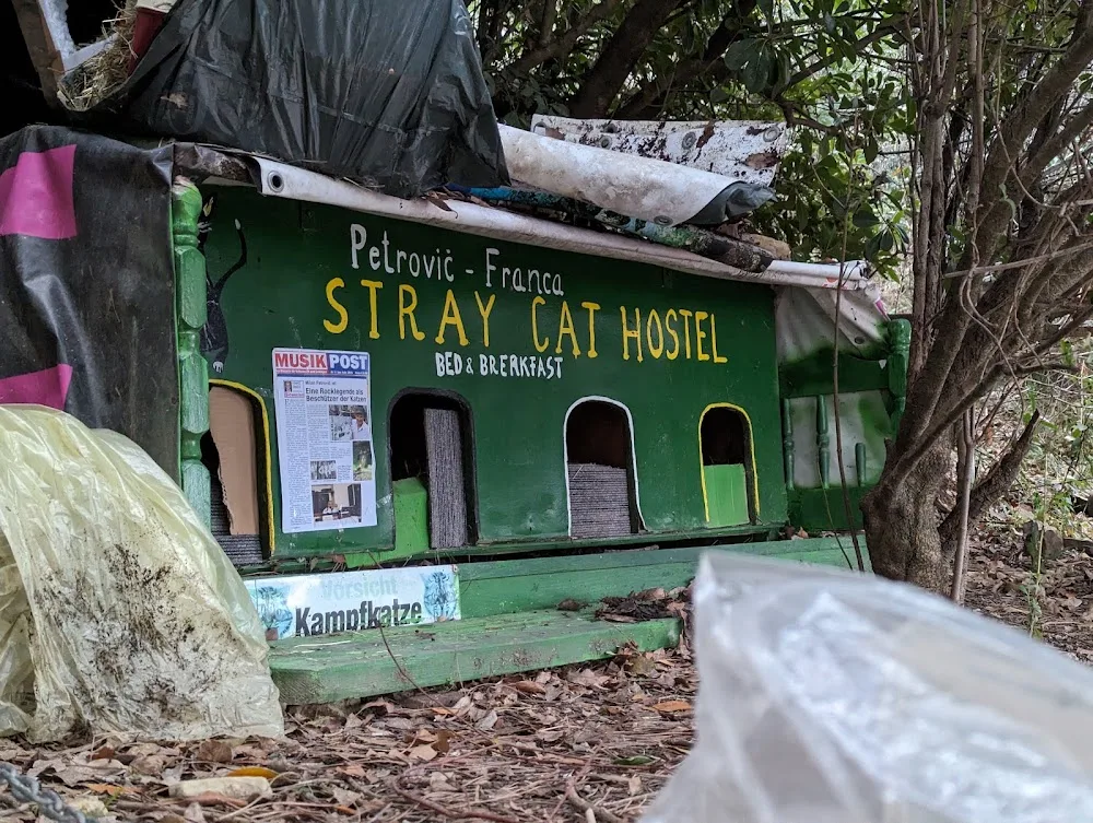 Stray Cat Hostel - Friuli–Venezia Giulia pet otel görseli 2