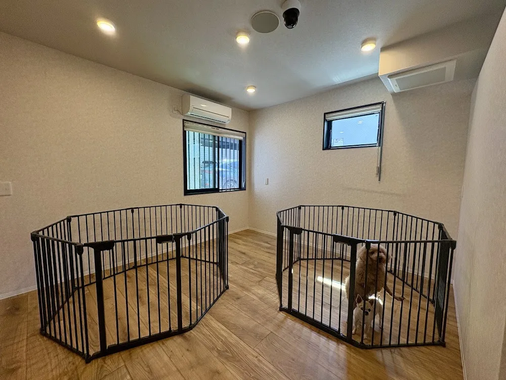 Pet Hotel Bd - Fukuoka pet otel görseli 3