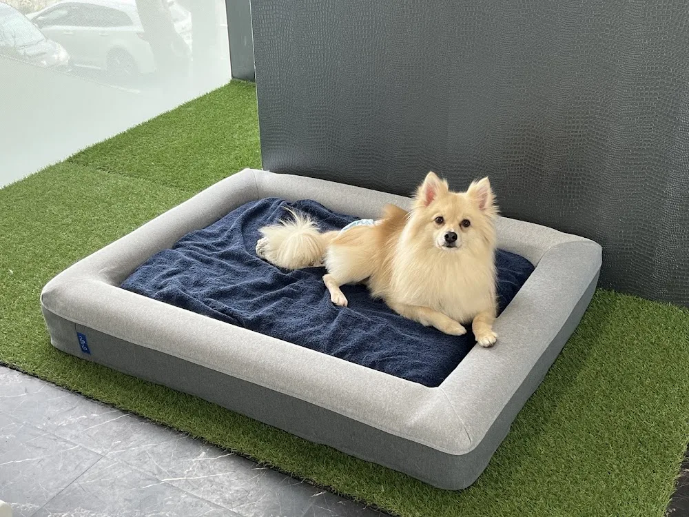 PREMIER DOG HOTEL プレミアドッグホテル 郡山 - Fukushima pet otel
