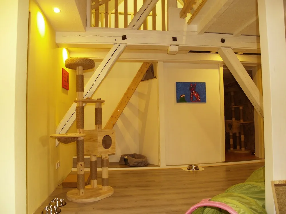 Die Katzenscheune - Katzenpension - Fürth pet otel