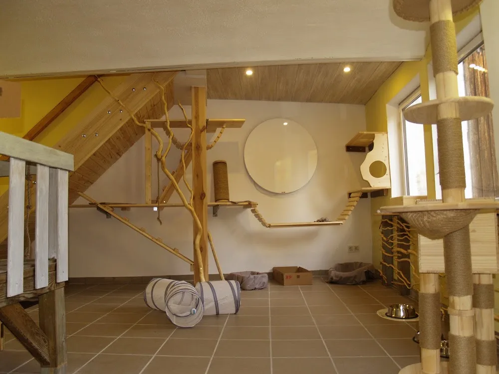 Die Katzenscheune - Katzenpension - Fürth pet otel görseli 7