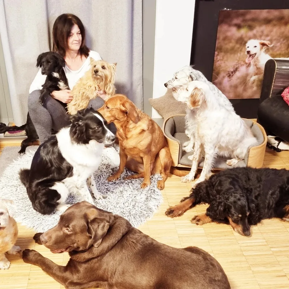 Hundepension 139 - ehem. Schinker - Fürth pet otel görseli 3