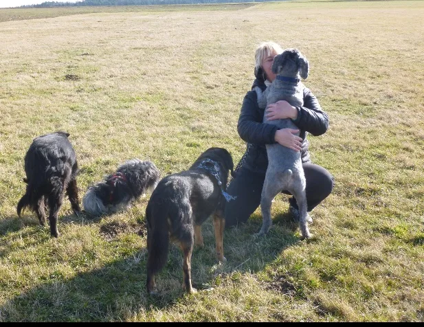 Hundepension Deluxe - Fürth pet otel görseli 3