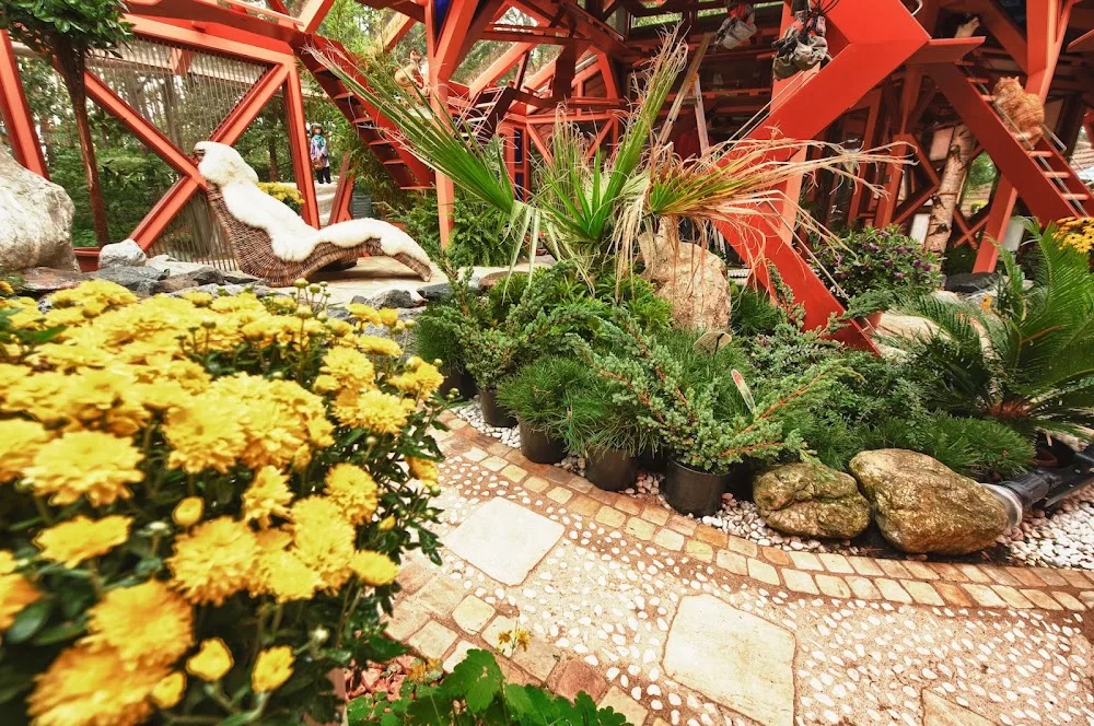 Katzenhotel Tinka - Fürth pet otel görseli 6