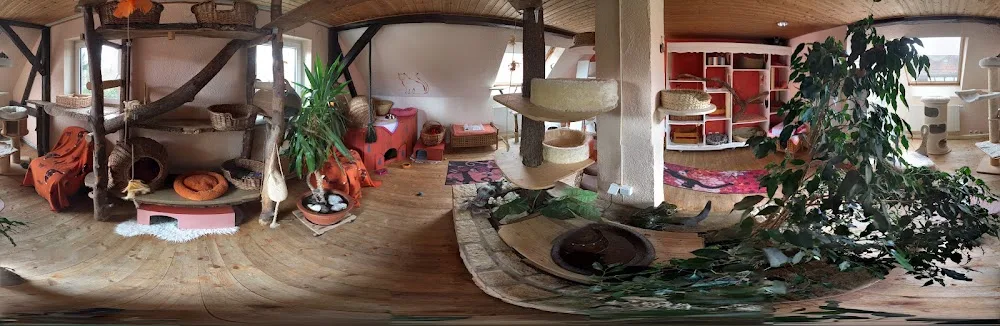 Katzenpension Der Mohrenhof - Fürth pet otel görseli 3