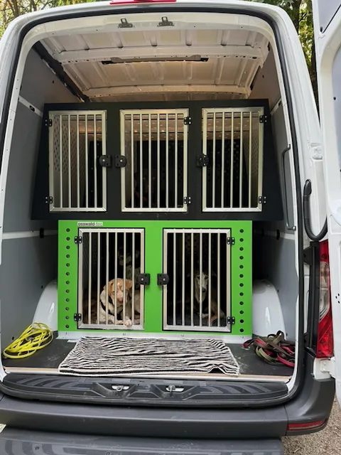 Sanny's Hundeservice - Fürth pet otel görseli 3