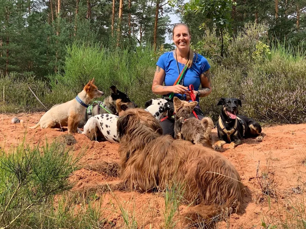 Sanny's Hundeservice - Fürth pet otel görseli 6