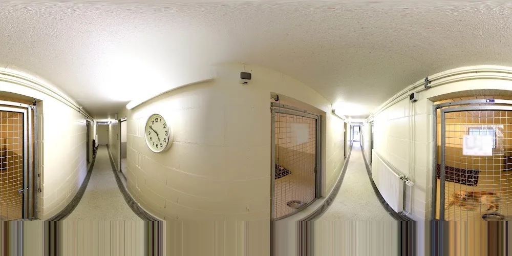 Tierpension Haas - Fürth pet otel görseli 3