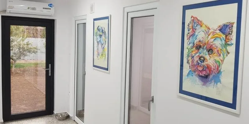 PETLANDIA - Galați pet otel