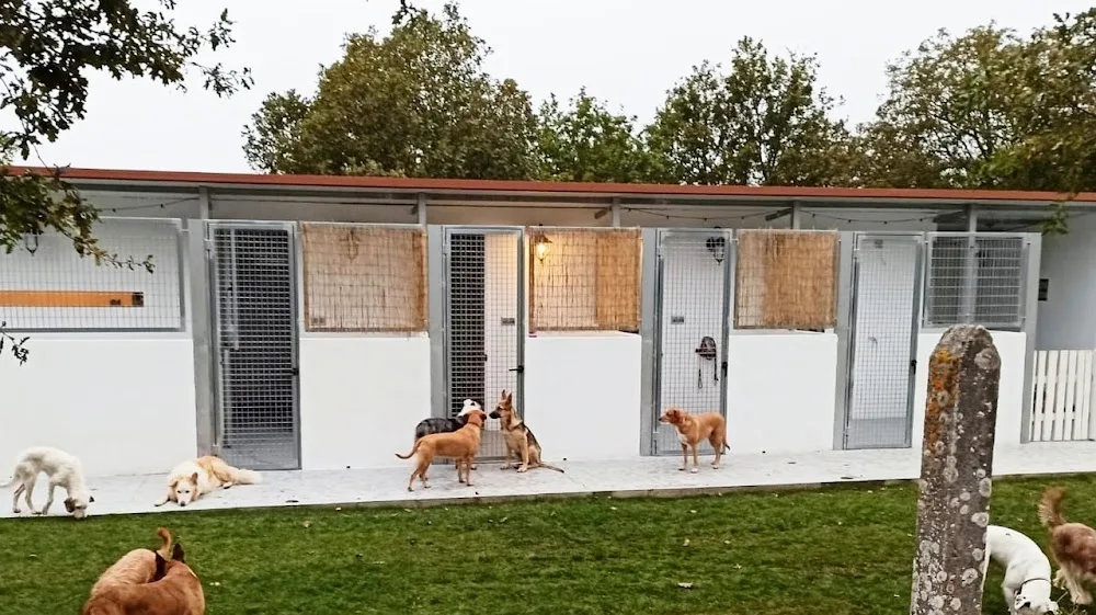 Airavella Aldea canina - Galicia pet otel görseli 2