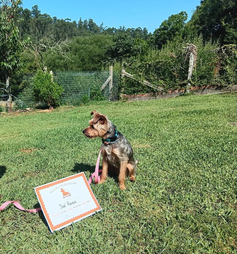 Alcanza Espazo Canino - Galicia pet otel