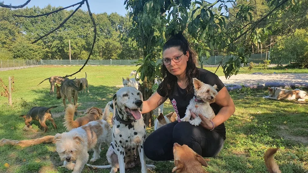 Bichiños - Hotel y peluqueria canina - Galicia pet otel