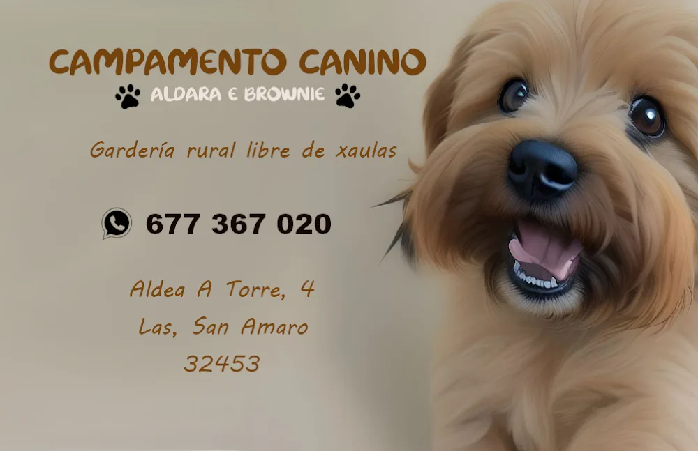 Campamento Canino Aldara e Brownie - Galicia pet otel