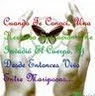Campamento Canino Aldara e Brownie - Galicia pet otel görseli 4