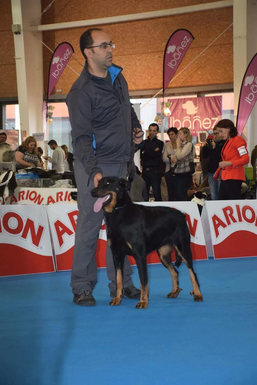 Centro Canino A Cova Do Lobo - Galicia pet otel görseli 3
