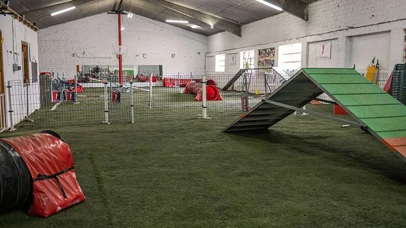 Centro canino Canedupo - Galicia pet otel