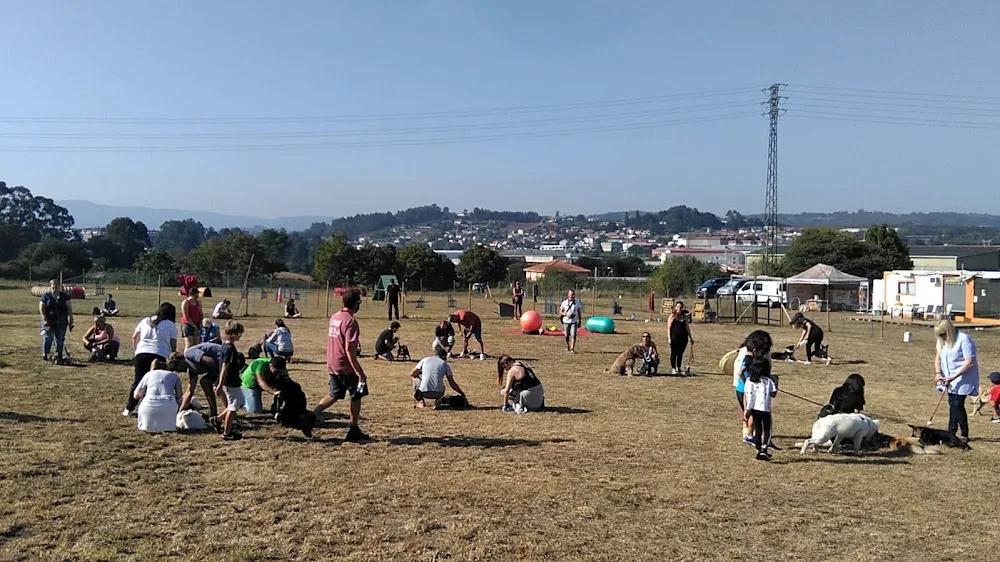 Centro Canino Cococan - Galicia pet otel görseli 2