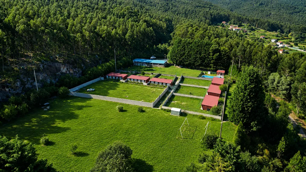 Centro Kennels - Galicia pet otel görseli 2