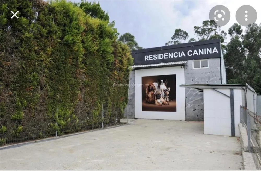 Hotel Canino A Raposeira 2 - Galicia pet otel