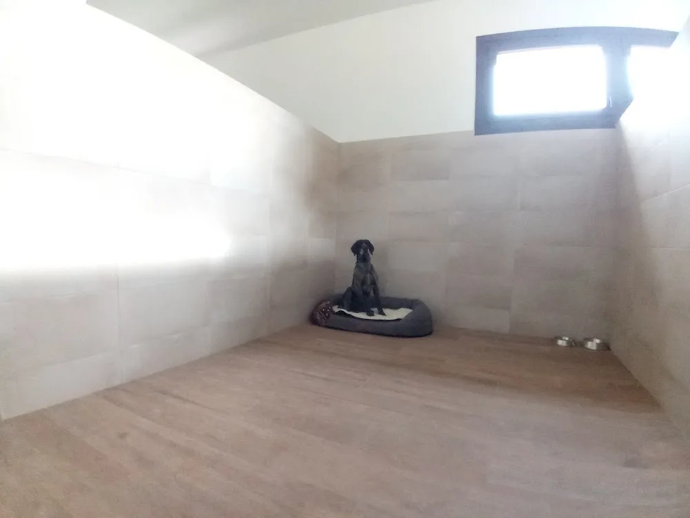 Hotel canino Aulacan - Galicia pet otel görseli 3