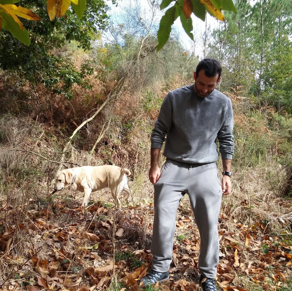 Hotel canino Aulacan - Galicia pet otel görseli 5