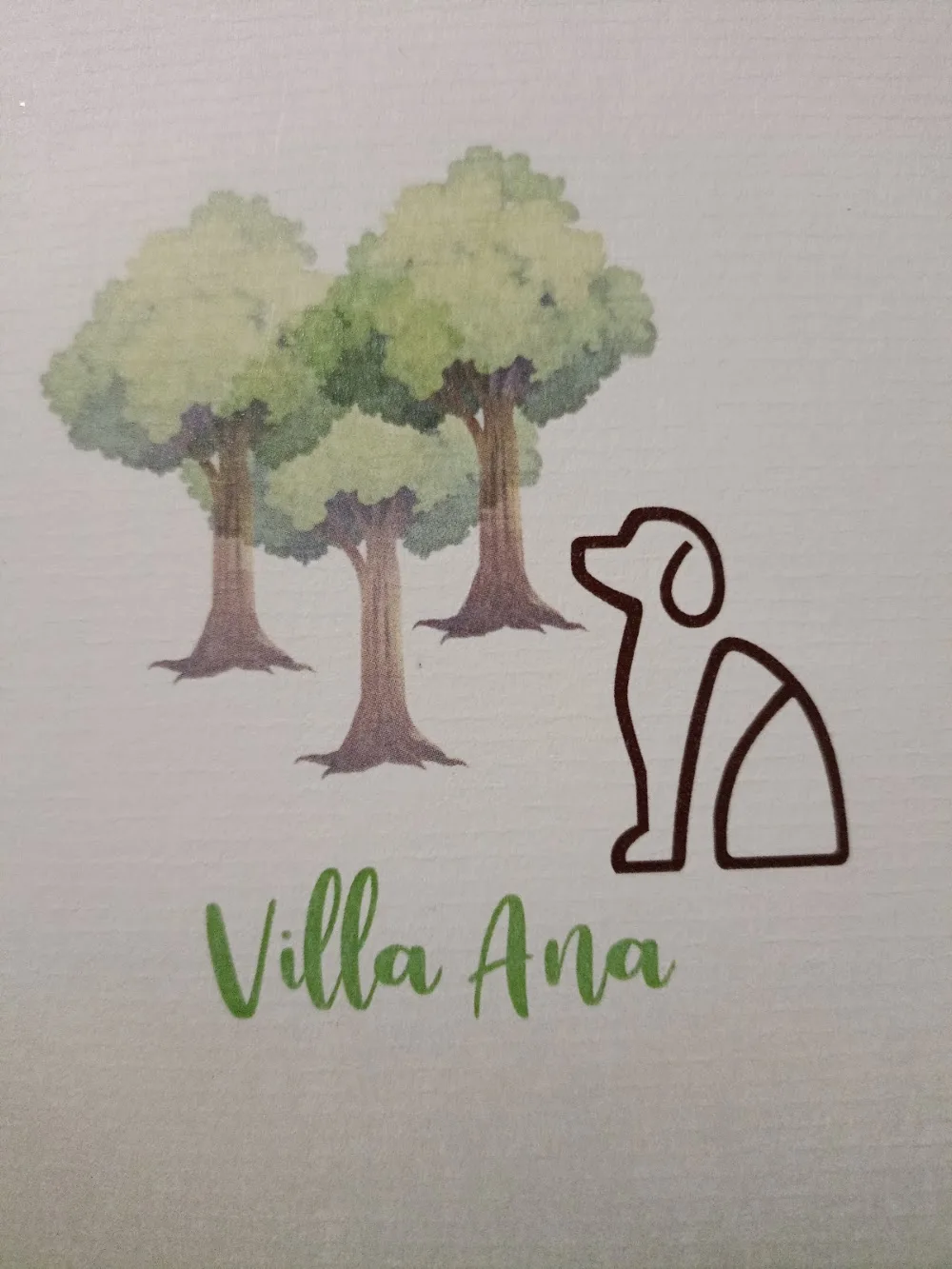 Hotel canino Villa Ana - Galicia pet otel görseli 3