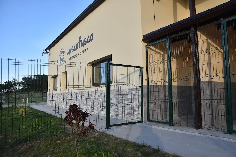 Luscofusco Residencia Canina - Galicia pet otel görseli 2