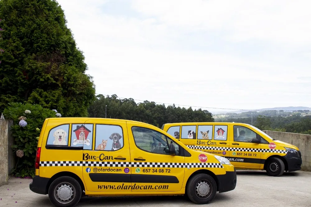 O Lar do Can - Galicia pet otel