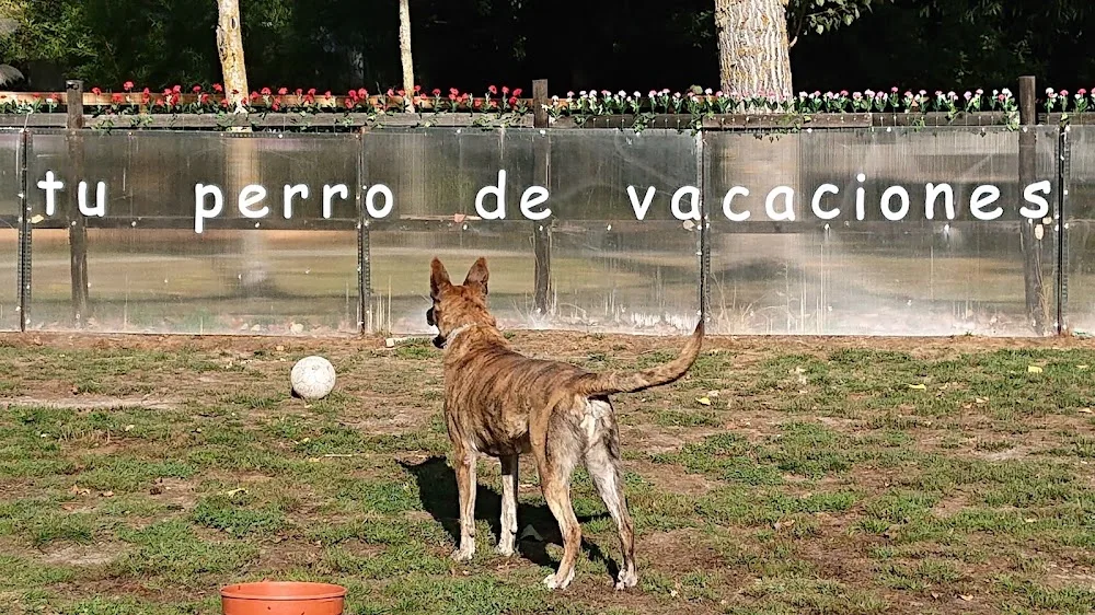 O Meu Caron - Club de campo para perros. Residencia Canina Sin Jaulas - Galicia pet otel