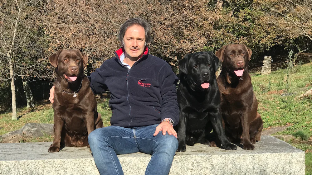 Ramalladas hotel y educación canina - Galicia pet otel
