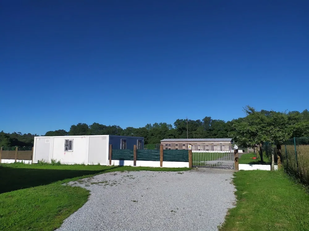 Residencia Canina CanGal - Galicia pet otel görseli 3