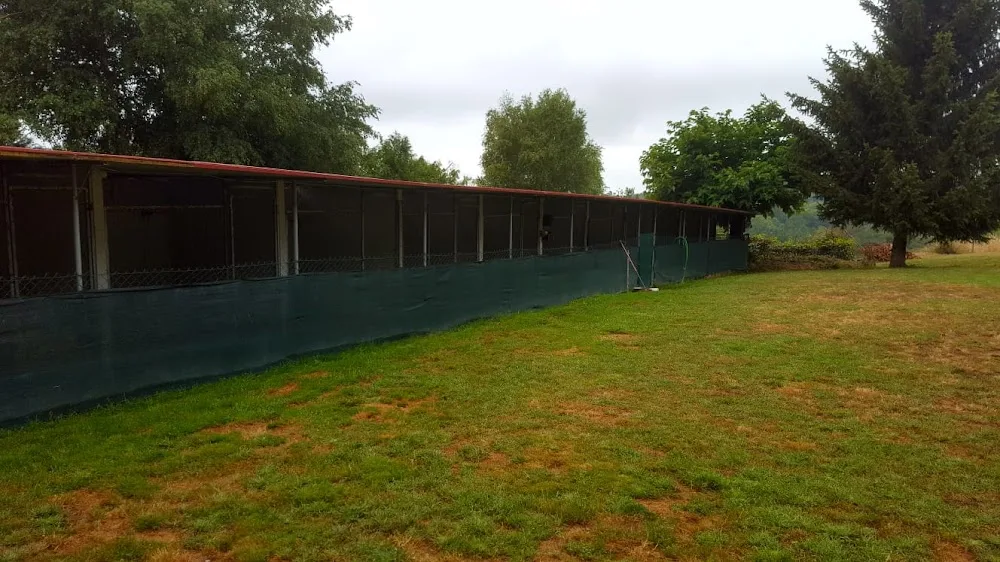 Residencia Canina Do Castelo - Galicia pet otel görseli 2