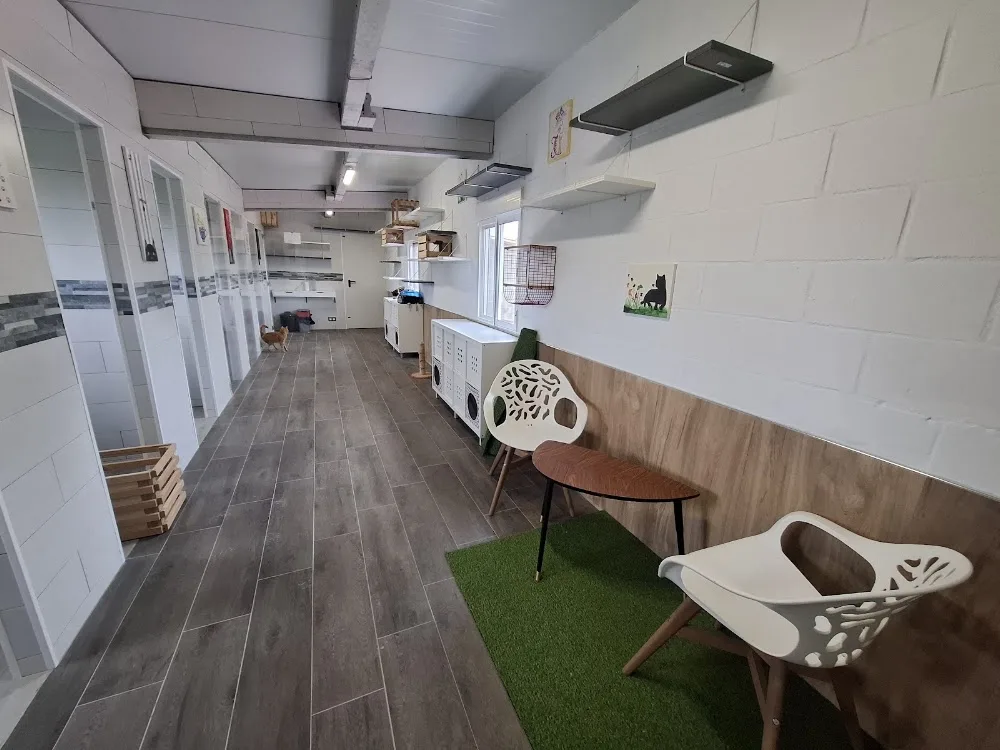 Residencia Canina El Bosque - Galicia pet otel görseli 3