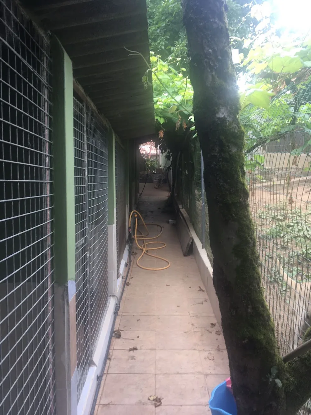 Residencia canina y felina Catro Patas - Galicia pet otel