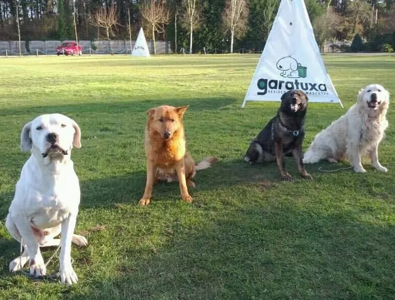 Residencia Garatuxa - Galicia pet otel